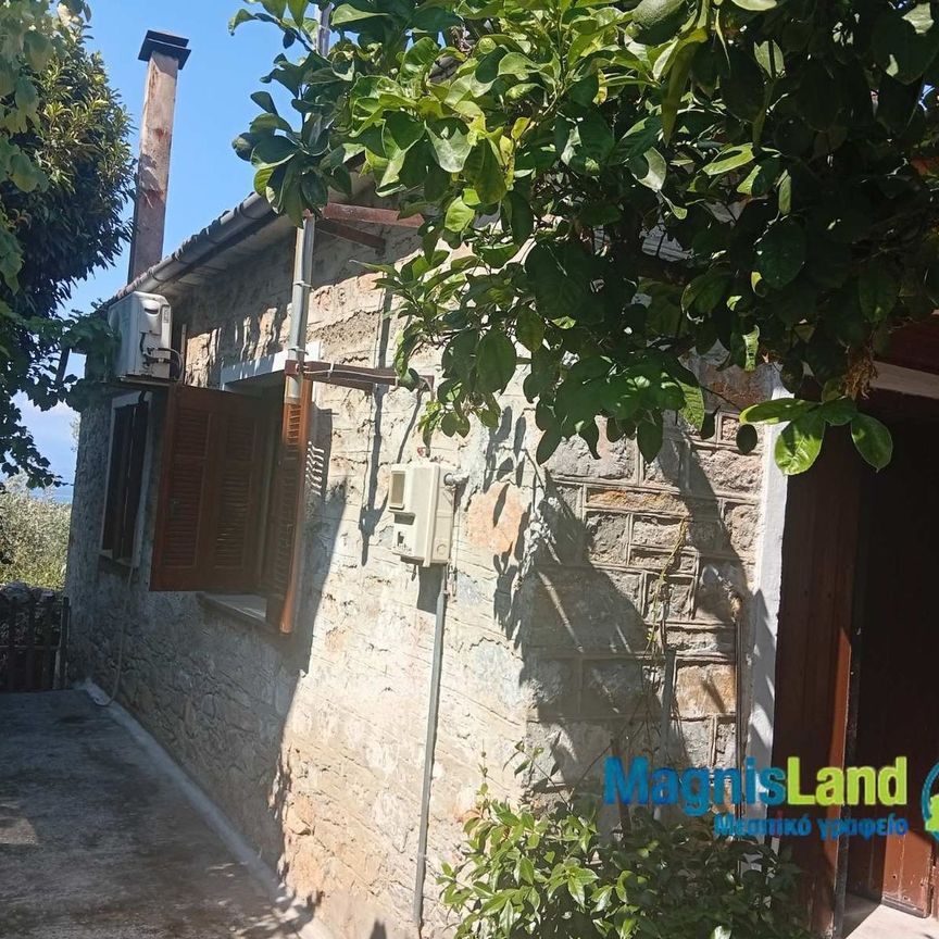 Μονοκατοικία για ενοικίαση Άνω Λεχώνια (Αρτέμιδα) - Photo 1