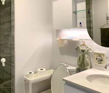 Appartement à louer - Montréal (Ville-Marie) (Centre Ouest) - Photo 6