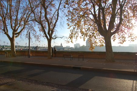 Location Appartement 2 pièces 31m² TOULOUSE 31000 - Photo 5