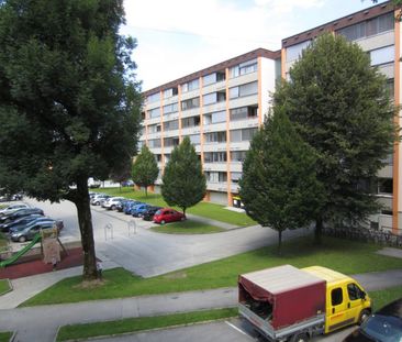 Einzimmerwohnung in Salzburg-Aigen - Photo 6