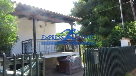 Μονοκατοικία για ενοικίαση - Νέα Μάκρη - Photo 5