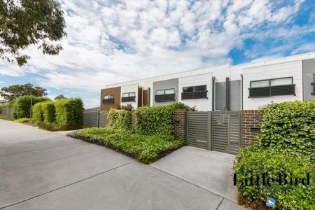 91 Bettong Avenue, Throsby ACT 2914 - House For Rent | Domain - Photo 5