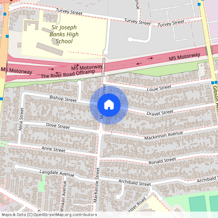 38 MacKenzie Street, NSW 2212, Revesby