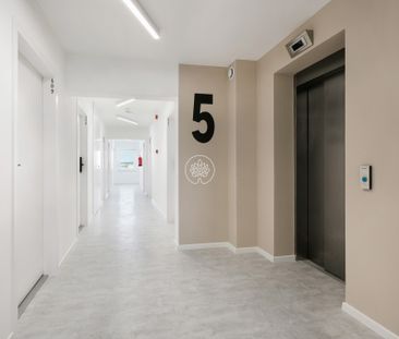 Apartament w prywatnym akademiku, Central Capmus - Zdjęcie 5