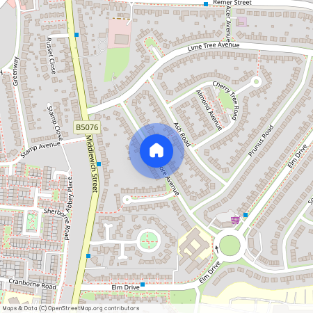 Sycamore Avenue, CW1 4DR, Crewe