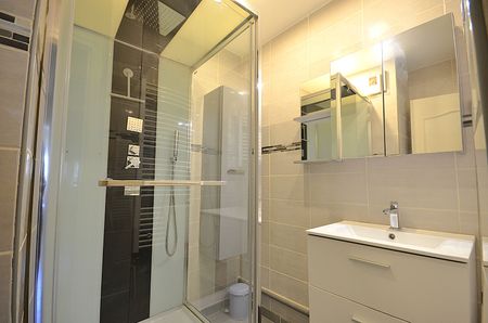 Appartement T3 près de Villeurbanne à louer - Photo 3