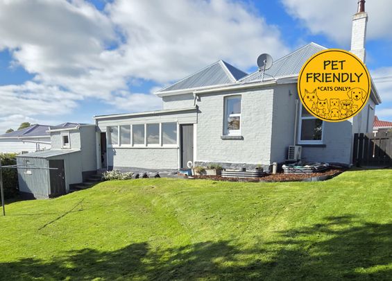 34 Galloway Street, Mornington, Dunedin - Photo 1