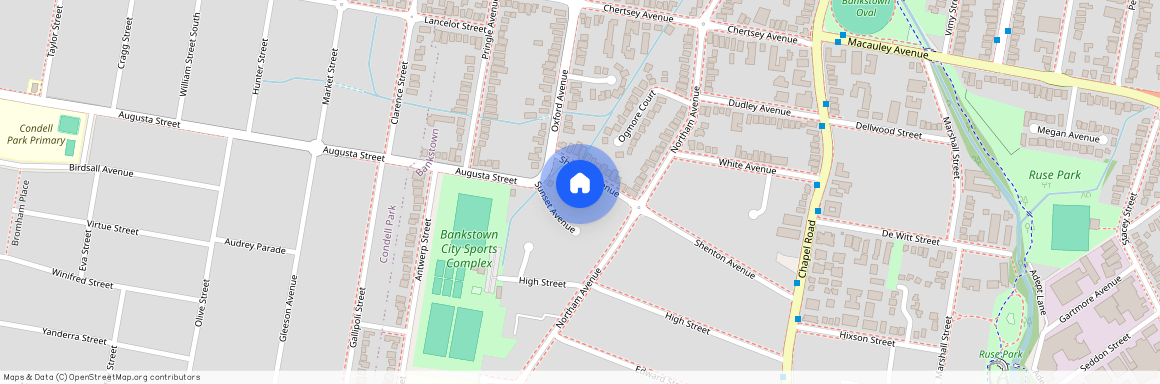 46 Shenton Avenue, NSW 2200, Bankstown