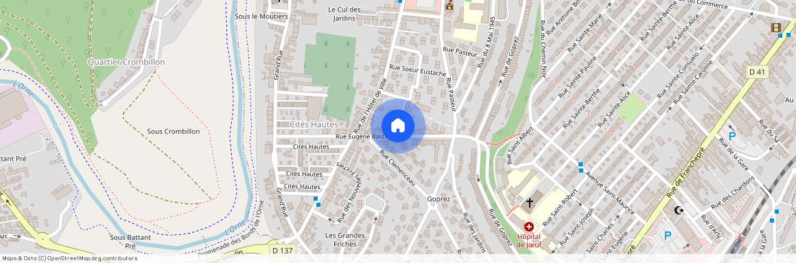 19 rue Eugène Bastien, 54240, Joeuf