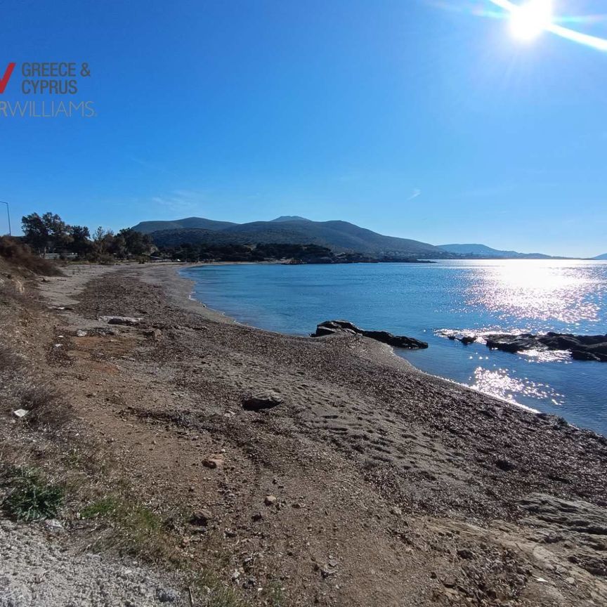 Διαμέρισμα για ενοικίαση Καλύβια Θορικού - Φωτογραφία 1
