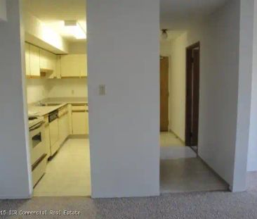 Lake Pointe Rental - Kingsmere Blvd — 2 Bedroom + 1.5 Bathroom Suite - Photo 6