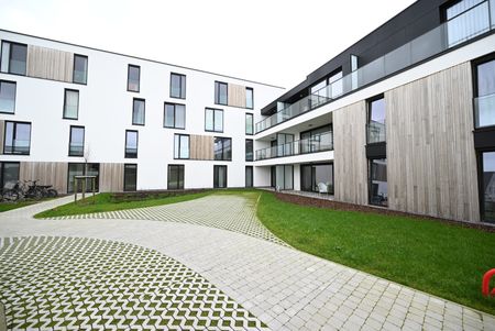 NIEUWBOUW 2-slpkm-appartement met terras - Photo 3
