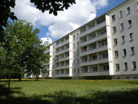 Frisch sanierte 2-Raumwohnung mit Balkon - Photo 5