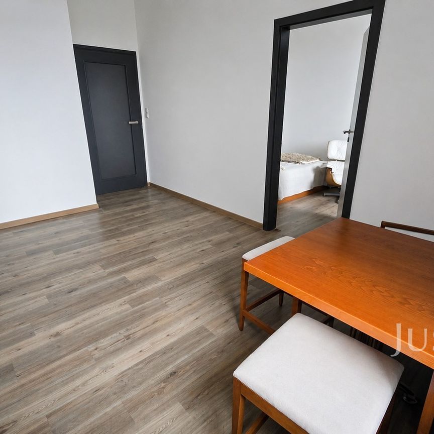 Pronájem bytu 1+1 40 m², Vladislavova , Písek - Photo 1