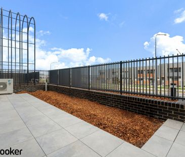 Brand New apartment Denman Prospect apartment ground level - Photo 4