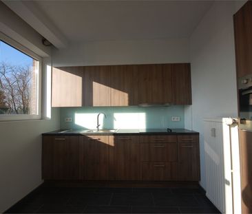 Appartement met terras en 1 slaapkamer - Foto 1