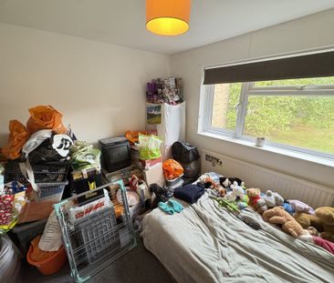 Ladyshot, Harlow - Photo 3