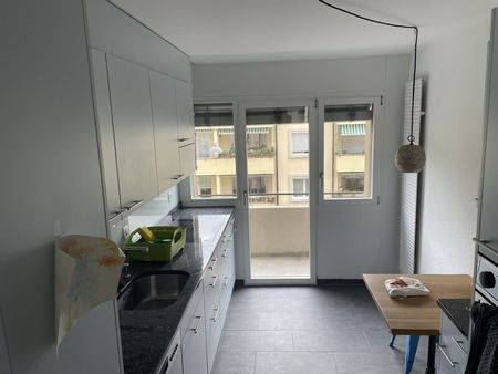 31/2-ROOM APARTMENT IN BERN - WEISSENBÜHL, FURNISHED, TEMPORARY - Photo 3