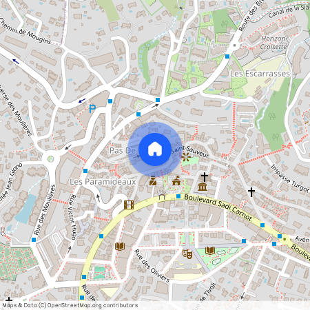 06110, Le Cannet