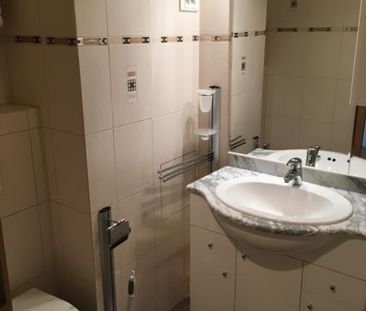 Location Appartement 1 pièce 24m² - Photo 6