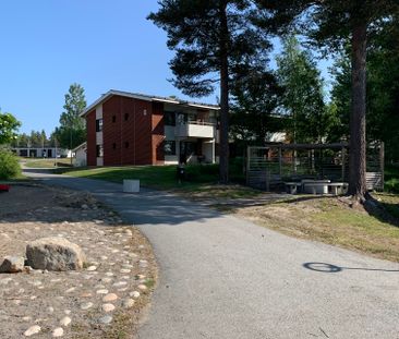 Brännsvedjevägen, Kåge - Photo 4