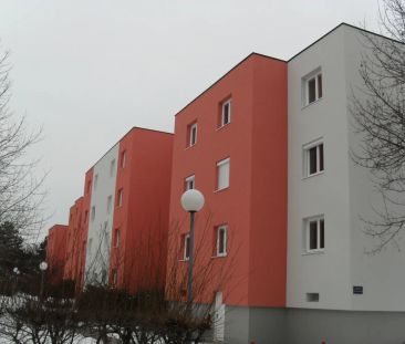 1-Zimmer-Wohnung mit Loggia, Top 302 - Foto 5