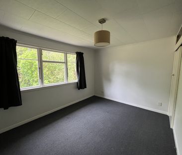 260 Aporo Rd, Tasman, Upper Moutere - Photo 5