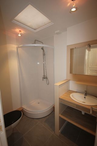 Location Appartement 1 pièce 19m² LILLE 59000 - Photo 5