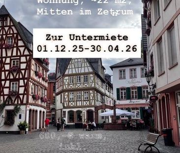 Wohnung Altstadt Mainz zur Untermiete - Foto 1