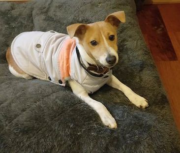 Keysborough - Photo 1