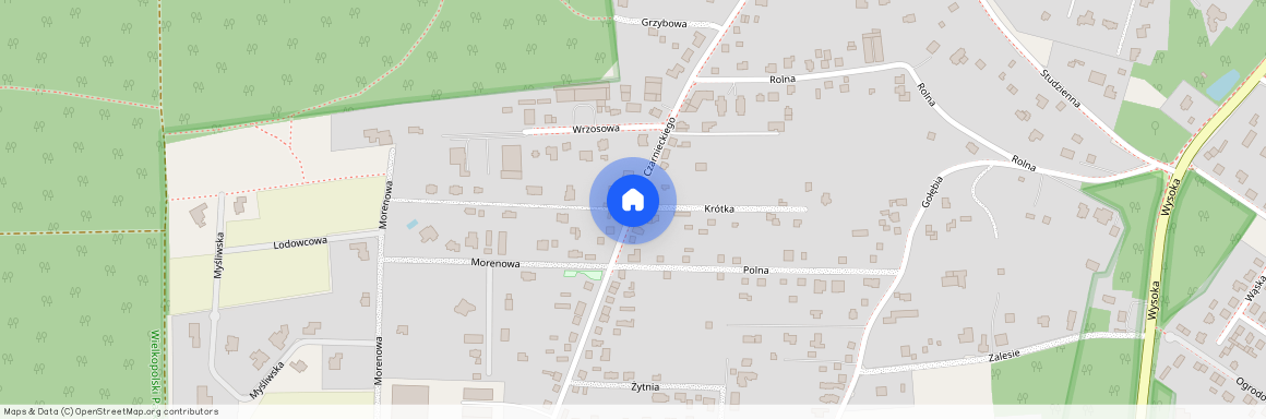 Stefana Czarnieckiego, Poznański (pow.), Puszczykowo