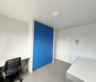 Location Appartement 1 pièce 12m² MITTELHAUSBERGEN 67206 - Photo 2