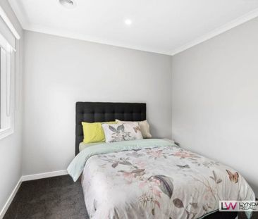 Peaceful and Private - A St Leonards Beauty - Photo 4