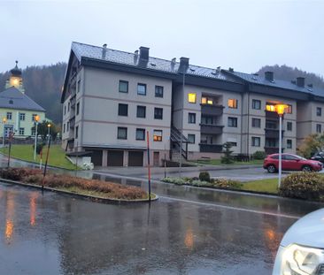 3-Zimmer-Wohnung in Mariazell mit Balkon - Foto 1