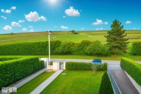 Charmantes Refugium mit Blick auf die Weinberge - Foto 2