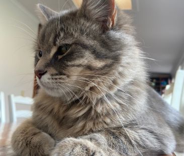 West Croydon - Photo 2