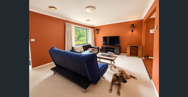 Light-Filled Family Home in a Quiet, Convenient Blackheath Location! - Photo 1