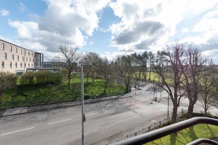 Knightswood Court - Photo 4