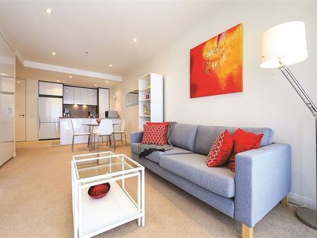 341/1 Mouat Street, Lyneham ACT 2602 - Apartment For Rent | Domain - Photo 5