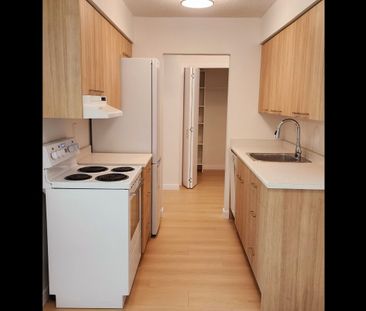 Fairview court Holdings - Photo 4