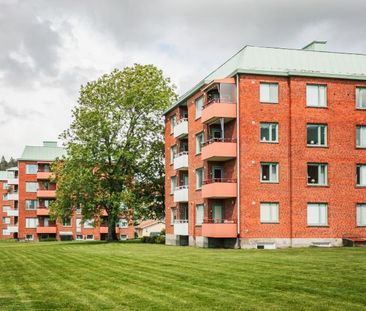 Pomonagatan 4 - Foto 1