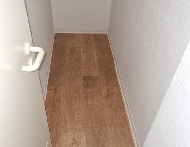 FRISCH SANIERT! SEHR GROSSE FAMILIEN-WOHNUNG IN PLAUEN ZU VERMIETEN! - Photo 1