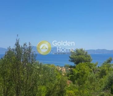 Μεζονέτα για ενοικίαση - Μαλεσίνα, - Photo 5