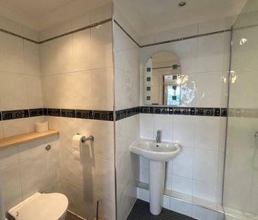 Brandon, Sedge fen - Photo 3