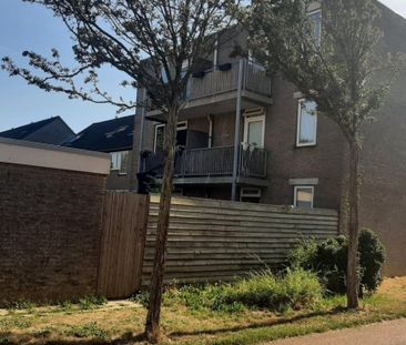 Limburgsingel 101, 6845DX ARNHEM - Photo 4