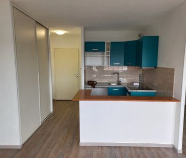 Location Appartement 1 pièce 36m² CUGNAUX 31270 - Photo 4