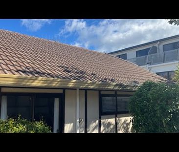 Downtown Mount - Photo 5