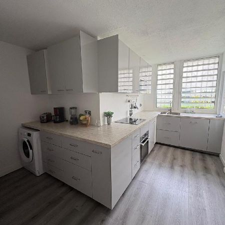 Ducos - Appartement - Chambre en colocation - Photo 3