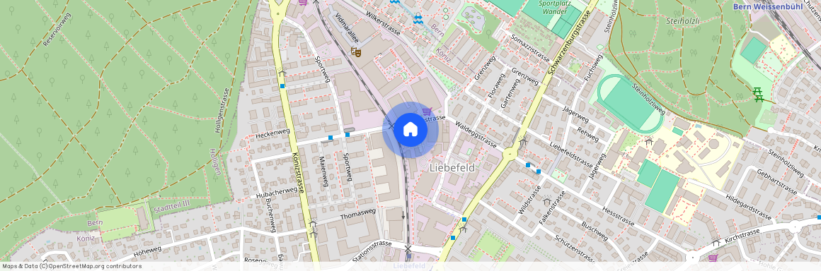 3097, Liebefeld, Waldeggstrasse, 41