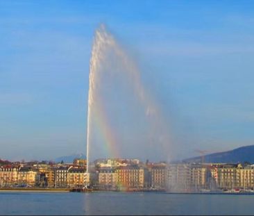 Charming renovated one-bedroom apartment in Paquis Navigation - Photo 3